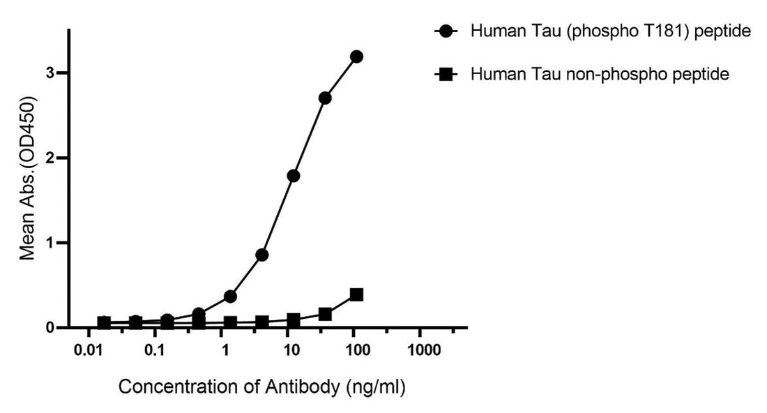Precise Custom Antibody Solutions for Neural Target Research: Literature Review and Empowerment by ANT BIO PTE. LTD.