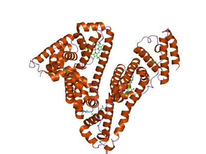 Structure, Function and Clinical Value of Human Serum Album (HSA)