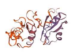 Rbfox3 (NeuN) as a Master Regulator of Neural RNA Splicing
