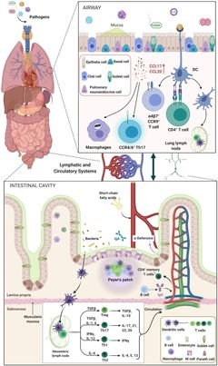 MLN19 – A Key Regulator in Cellular Homeostasis and Disease Pathogenesis