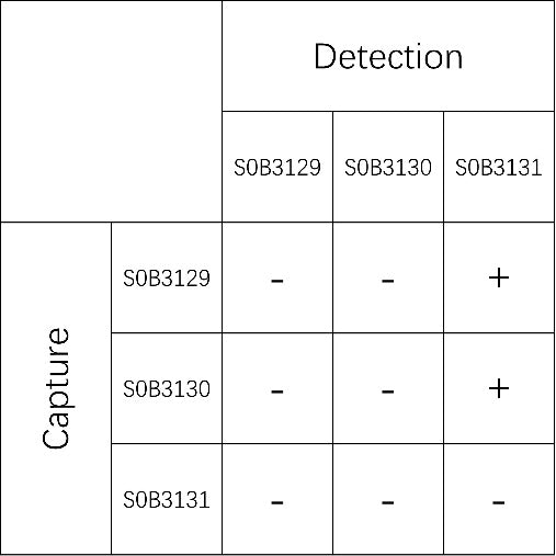 OST (Oligosaccharyltransferase) Matched Antibody Pairs