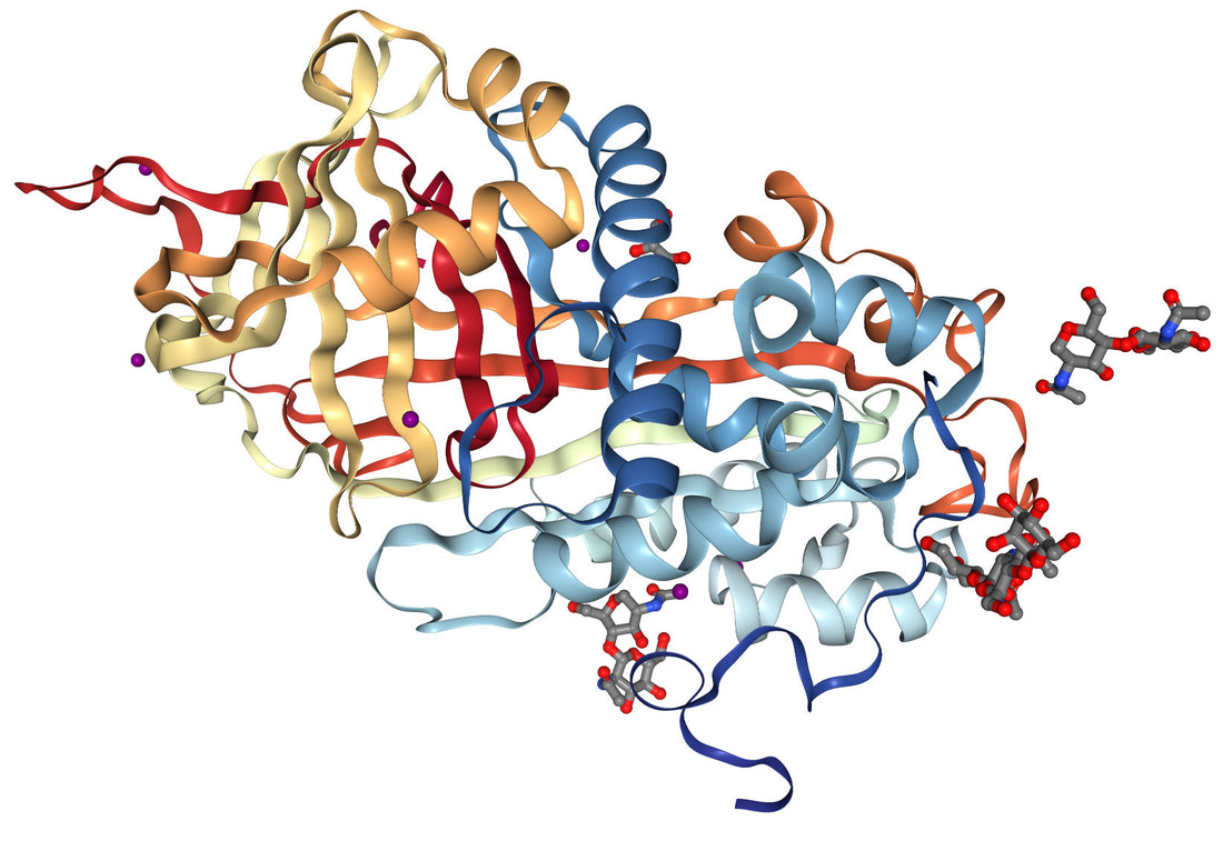 Antithrombin III: The Serpin That Sets the Baseline of Coagulation Control