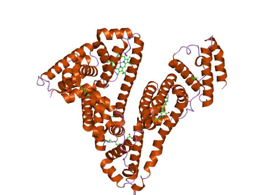 Serum Albumin: Biological Characteristics and Applications in Research and Diagnostics