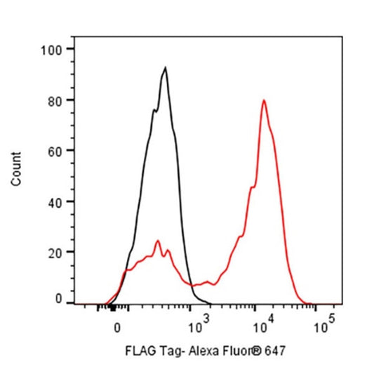 Tag Antibodies: Indispensable Tools for Modern Protein Research