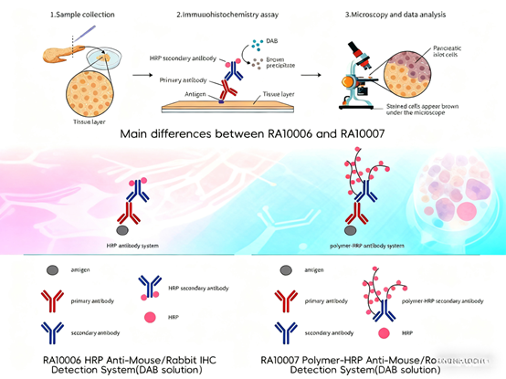 How Can Immunohistochemistry Kits Enhance Experimental Efficiency and Result Reliability?