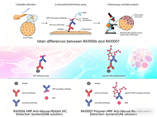 How Can Immunohistochemistry Kits Enhance Experimental Efficiency and Result Reliability?