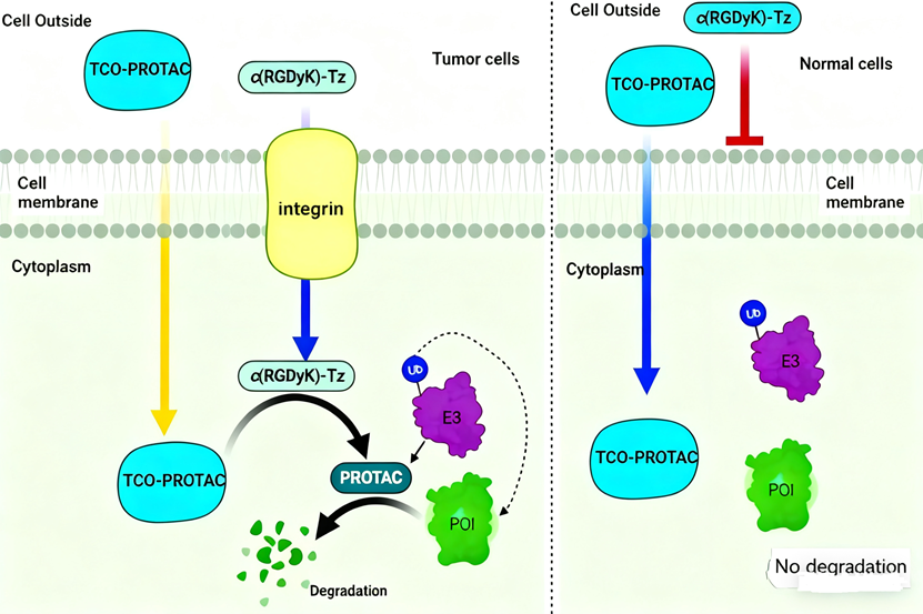 How to Scientifically Select High-Quality ELISA Kits?