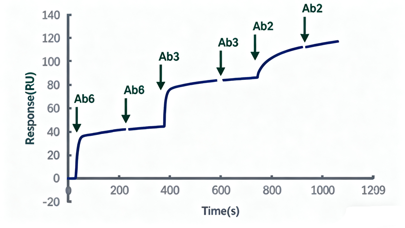 How to Solve Challenges in Molecular Interaction Studies? Can SPR Technology Become Your Ultimate Tool?
