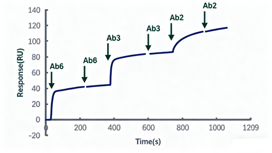How to Solve Challenges in Molecular Interaction Studies? Can SPR Technology Become Your Ultimate Tool?