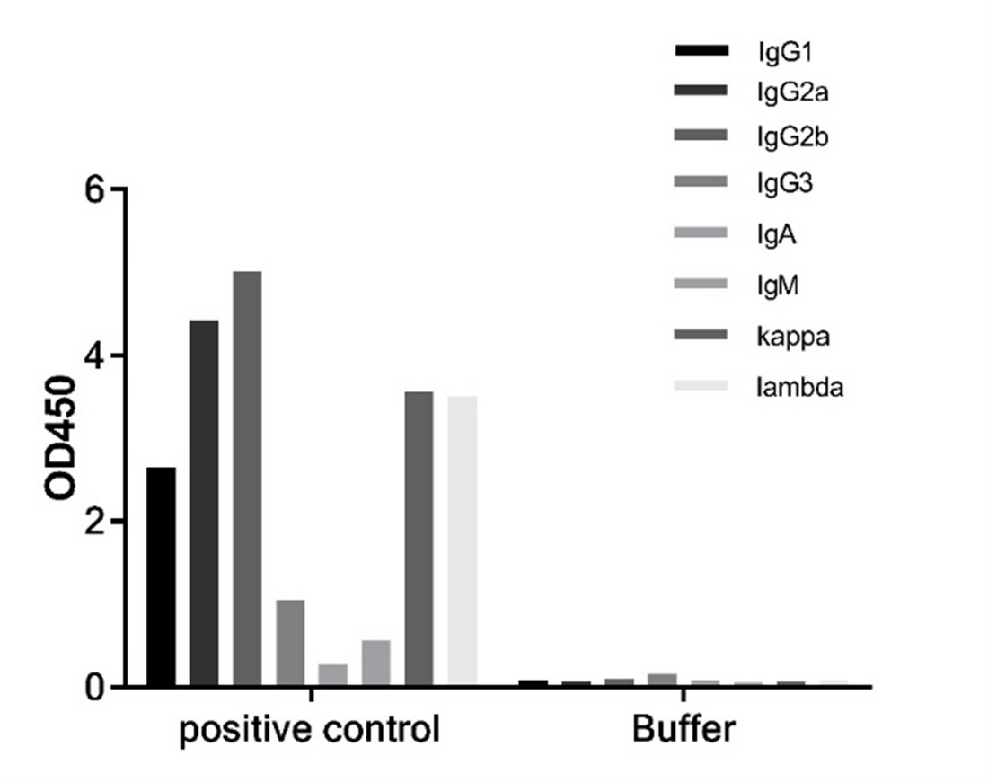 Mouse Typing Reagent Kit: How to Achieve Panoramic Analysis of the Immune System Through High-Dimensional Flow Cytometry?