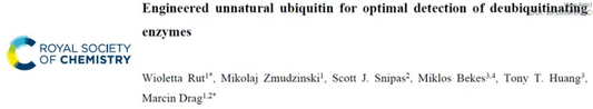 How to Utilize Unnatural Amino Acids to Develop Highly Selective Deubiquitinase Probes?