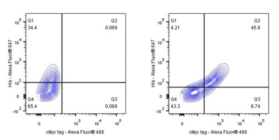 How does Cas9 recombinant rabbit monoclonal antibody revolutionize gene editing research technology?