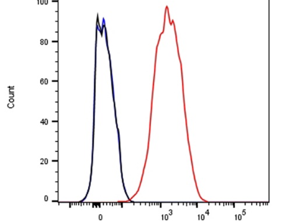 What is the key role of CD140a antibody in cell biology research?