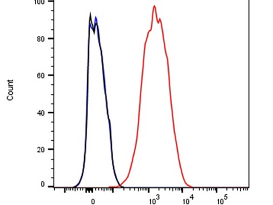 What is the key role of CD140a antibody in cell biology research?