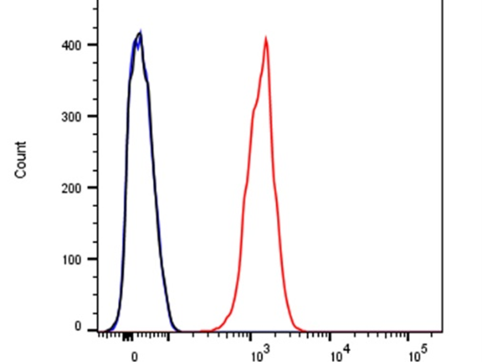 Why do AML1-ETO-positive leukemia stem cells depend on the PLCG1 signaling pathway?