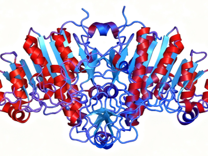 How can PLAP+ALPI recombinant rabbit monoclonal antibodies advance the study of alkaline phosphatase isoenzymes?