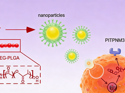 How do small molecule inhibitors of PITPNM3 reverse the cancer metastasis process?