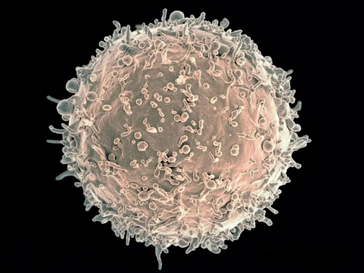How does immunoglobulin G3 (IgG3) regulate immune responses in HIV-infected individuals by interfering with B-cell receptor function?