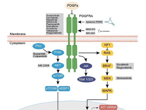 What key role does the PDGFRα (CD140a) target play in the treatment of gastrointestinal stromal tumors?