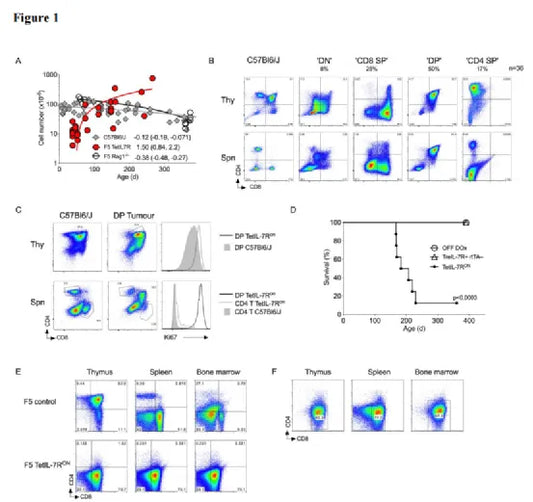 How does high expression of wild-type IL-7Rα (CD127) drive the occurrence and evolution of T-cell acute lymphoblastic leukemia?