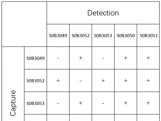 ST2 Antibody: A Comprehensive Overview of Research and Applications