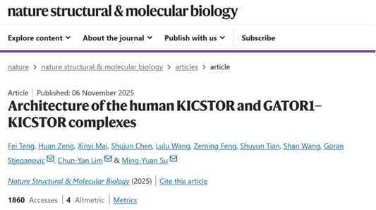 AntBio GST Antibody Supports Human KICSTOR Complex Research