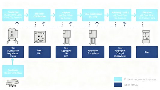How to Comprehensively Control the Product Quality of the Baculovirus-Insect Cell Expression System?