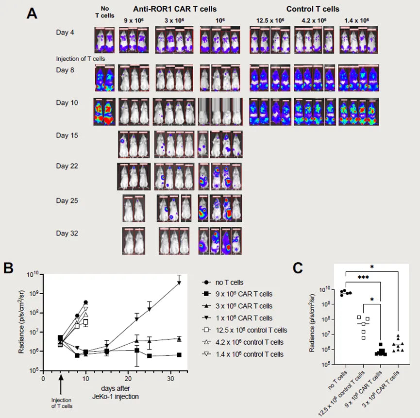 Three minutes to ROR1
