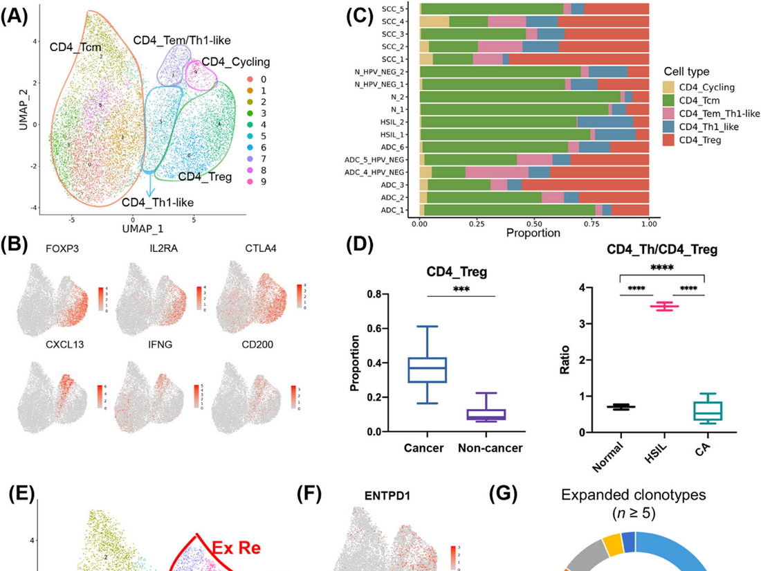 LAMP3+ DCs Mediate Immunosuppressive Microenvironment in Cervical Cancer: ANT BIO PTE. LTD. Multiplex IHC Kits Drive Mechanistic Exploration