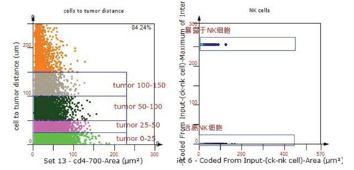 Precise Imaging, Multicolor Decoding: Advanced Optimization Strategies for mIHC Dye Matching by ANT BIO PTE. LTD.