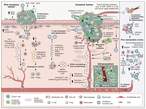 Technical Guide: How to Perform Multiplex Immunohistochemistry on Cell Samples