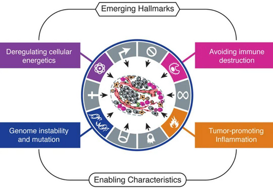 The Hallmarks of Cancer: A Journey of Discovery and Empowerment by ANT BIO PTE. LTD. Multiplex IHC Kits