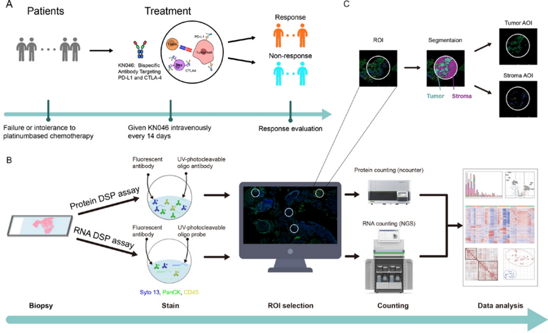 Spatial Multi-Omics Unveils Tumor Ecosystem Heterogeneity in Advanced NSCLC: The Empowering Role of GeoMx DSP and ANT BIO PTE. LTD.’s Multiplex IHC