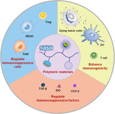Comprehensive Apoptosis Signaling Pathway Inhibitors