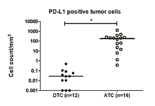 Key to Successful Pathological Staining! Core Techniques and Pitfall Avoidance Guide for Sample Preprocessing