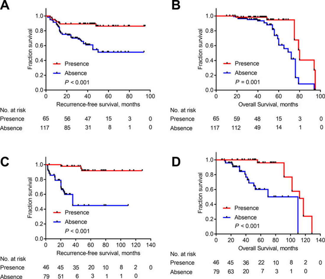 Absin TUNEL Cell Apoptosis Detection Kit (FITC): High-Sensitivity Solution for In Situ Apoptosis Analysis