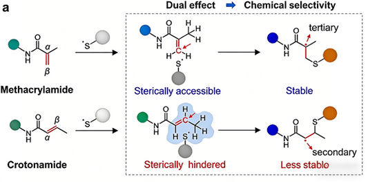 Methacrylation: Advances in Specific Chemical Labeling and Research Tools