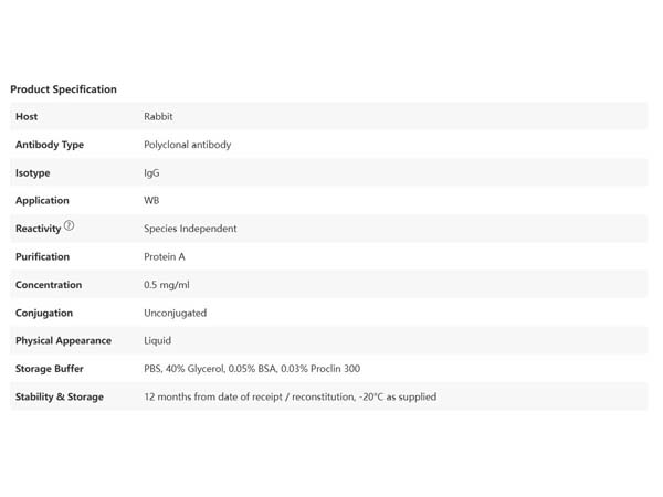 The Secret of Lactylation: Unlocking New Codes of Metabolism and Disease