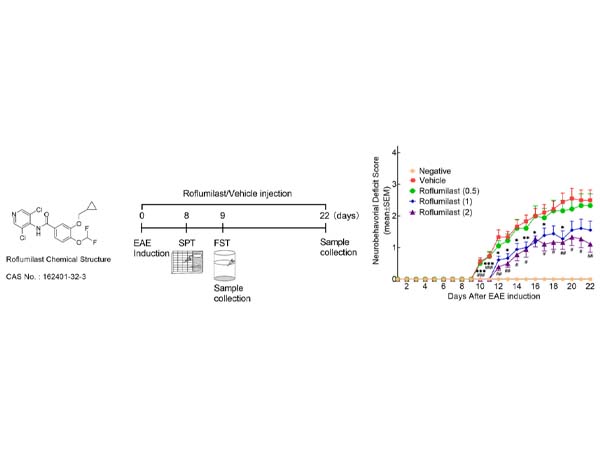 Eae Model EAE Modeling Solutions – AntBio