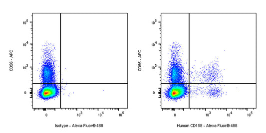 Dead Cell Removal Sorting: A Key Strategy to Enhance Experimental Data Reliability