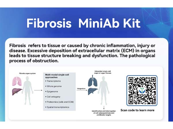 Starter Fibrosis Research Kit empowers your scientific research journey