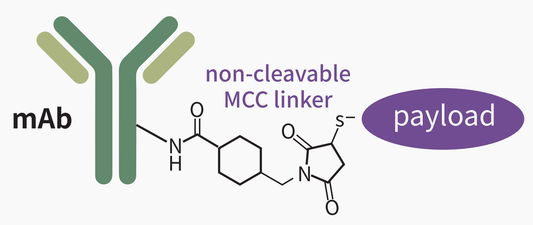 Evolved Antibody-drug Conjugates Raw Materials