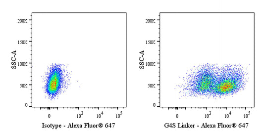 Synaptic Protein Antibodies: Decoding Neural Signaling for Neuroscience Breakthroughs