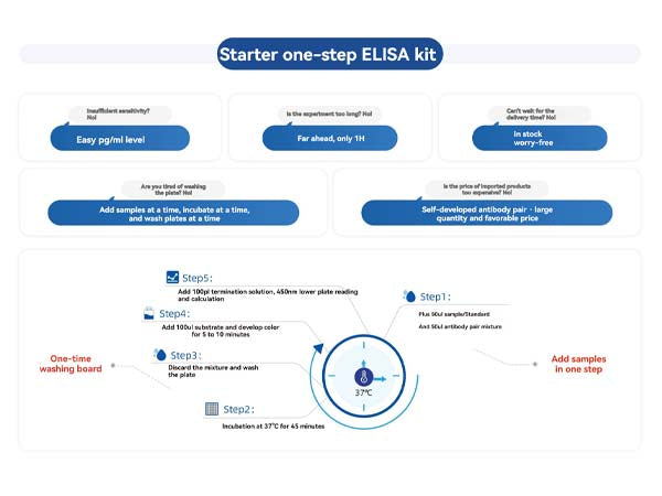 Urgent Need for Rapid Protein Quantification? How STARTER One-Step ELISA Kits Enhance Experimental Efficiency