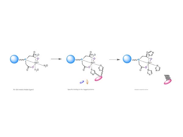 Labeled protein purification resin solutions