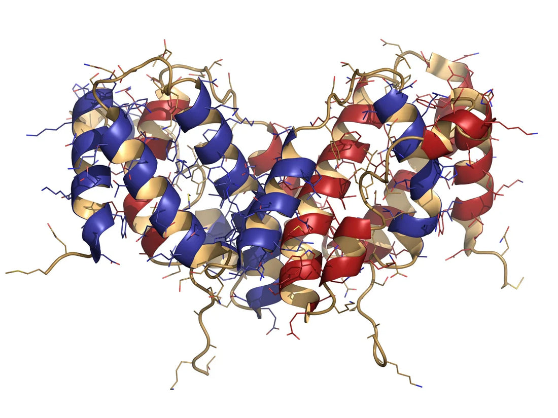 SEK2 Recombinant Protein: From Benchside Basic Research to Clinical Translation
