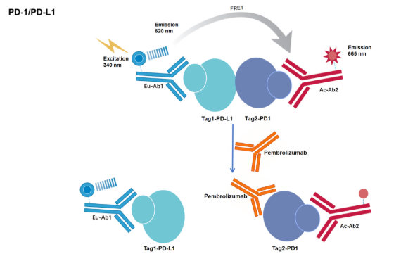 Predictive Biomarkers for Immune Checkpoint Inhibitors & TR-FRET P – AntBio