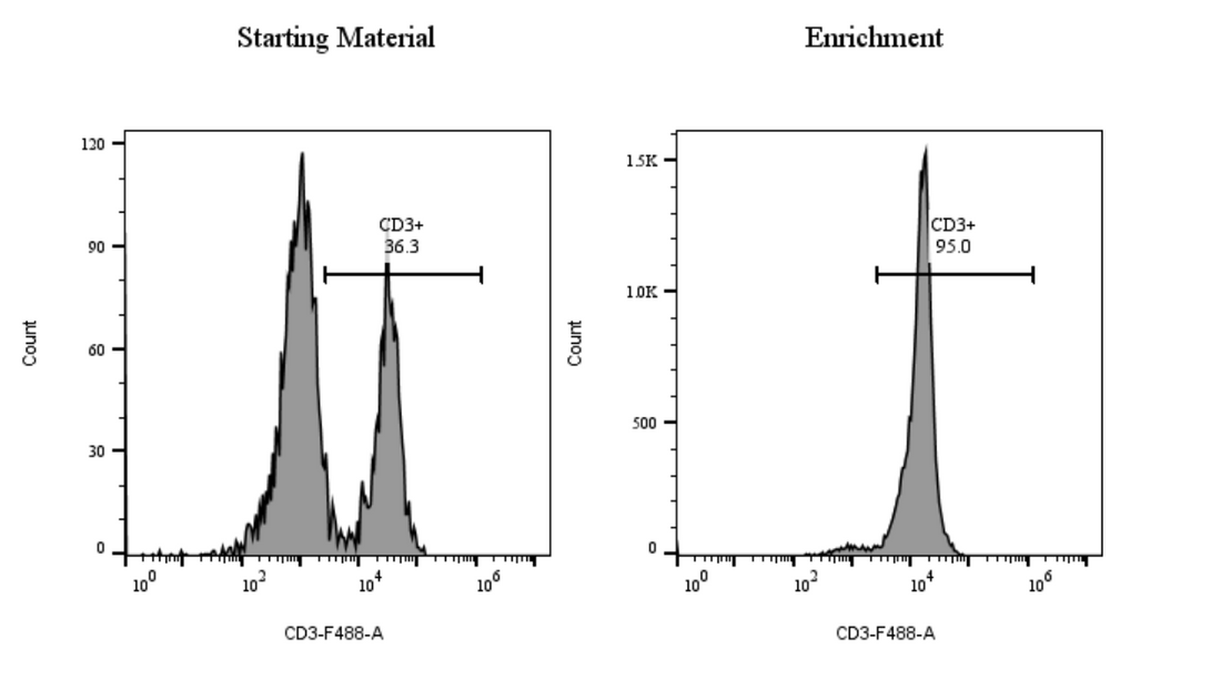 Stepwise Construction of EPR-Coupled Streptavidin Nanobead Sandwich Probe for Caspase-3 Assays