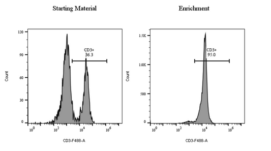 Stepwise Construction of EPR-Coupled Streptavidin Nanobead Sandwich Probe for Caspase-3 Assays