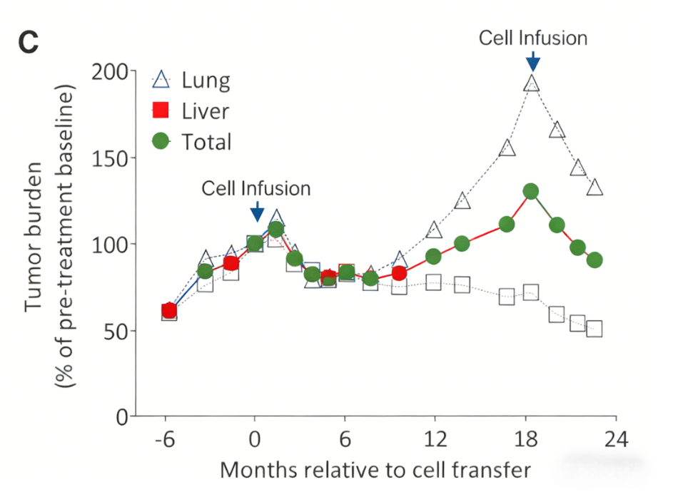 Tumor Neoantigen-Directed Immunotherapy: Paradigm Shifts for Precision Oncology Basic Research
